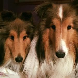 Meet your Posher, Anita